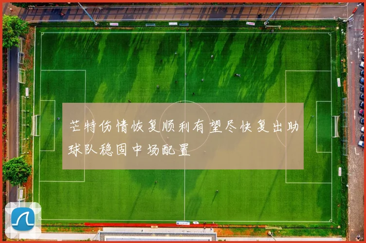 芒特伤情恢复顺利有望尽快复出助球队稳固中场配置