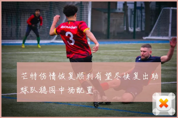 芒特伤情恢复顺利有望尽快复出助球队稳固中场配置