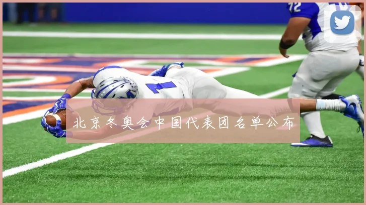北京冬奥会中国代表团名单公布